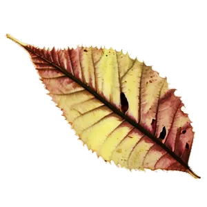 Vintage Fallen Leaves Image PNG 53
