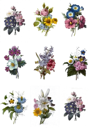 Vintage Floral Bouquet Collection PNG image