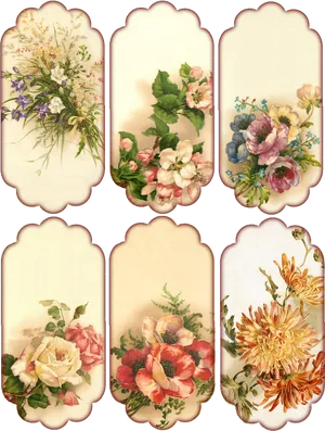 Vintage Floral Collection PNG image