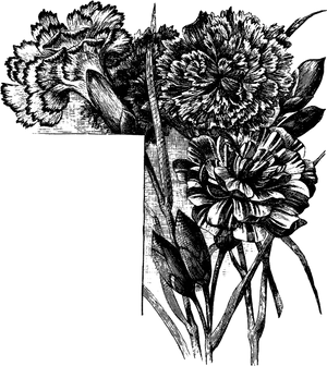 Vintage Floral Etching Black White PNG image