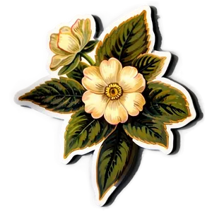 Vintage Floral Sticker Png 05252024 PNG image