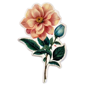 Vintage Floral Sticker PNG 05252024