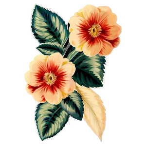 Vintage Floral Sticker Png Rky20 PNG image