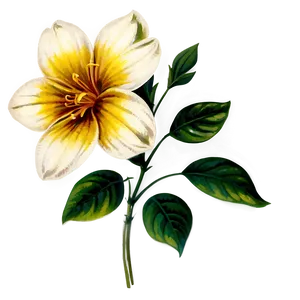 Vintage Flower A PNG