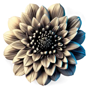 Vintage Flower Black And White Png 05252024 PNG image