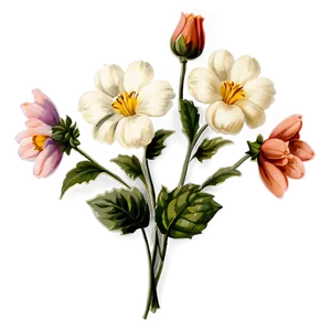 Vintage Flower D PNG
