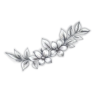 Vintage Flower Sketch Png 06272024 PNG image