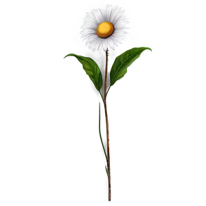 Vintage Flower Stem PNG Vlr51 PNG