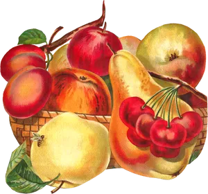 Vintage Fruit Basket Illustration PNG