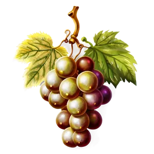 Vintage Grapes PNG 05242024