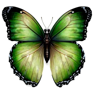 Vintage Green Butterfly PNG 06202024