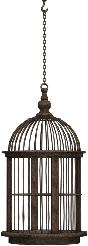 Vintage Hanging Birdcage PNG