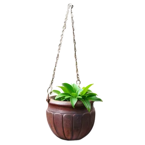 Vintage Hanging Plant PNG 05252024