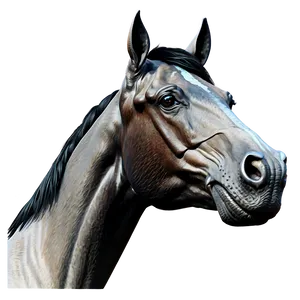 Vintage Horse Head Drawing Png 06122024 PNG image