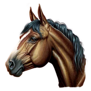 Vintage Horse Head Drawing Png Stl PNG image