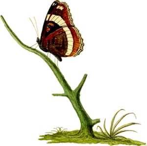 Vintage_ Illustrated_ Butterfly_ Perched