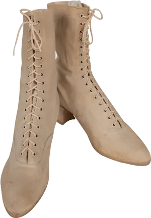 Vintage Lace Up Boots Womens Fashion PNG image