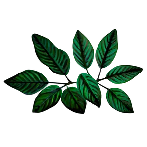 Vintage Leaves PNG 77