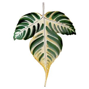 Vintage Leaves PNG 92