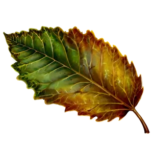 Vintage Leaves PNG Kvp