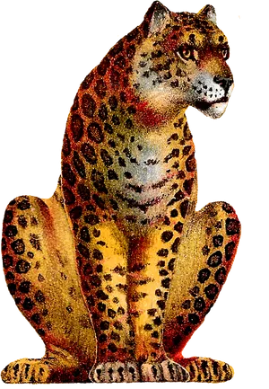 Vintage Leopard Illustration PNG image