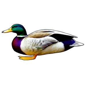 Vintage Mallard Duck PNG Ari