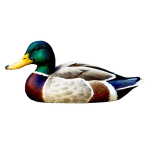Vintage Mallard Duck PNG Esw13 PNG