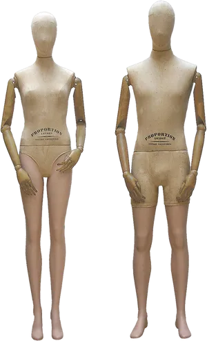 Vintage Mannequins Standing Pose