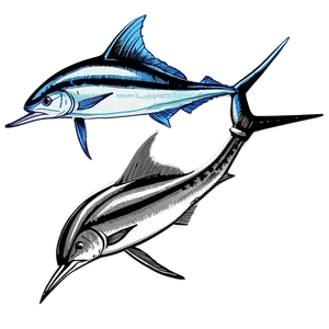 Vintage Marlin Sketch PNG 42 PNG