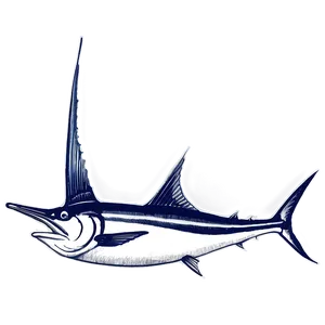 Vintage Marlin Sketch PNG Ehf24 PNG