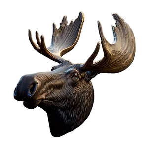 Vintage Moose Head Sketch PNG 06292024