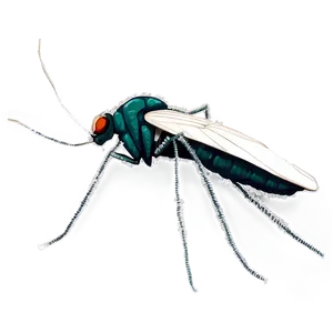 Vintage Mosquito Png 05242024 PNG image