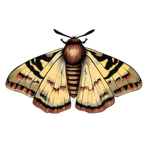 Vintage Moth Illustration PNG 73