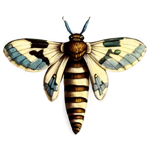 Vintage Moth Illustration PNG 98