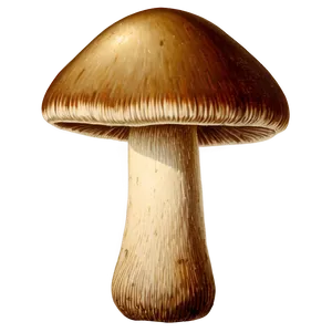 Vintage Mushroom Png Pjr21 PNG image