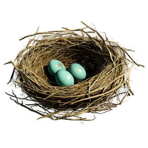 Vintage Nest Illustration Png 05252024 PNG image