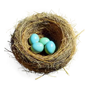 Vintage Nest Illustration PNG Tyi35 PNG