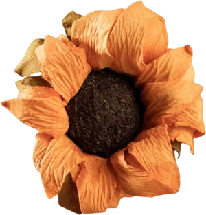 Vintage Orange Flower Isolated PNG image