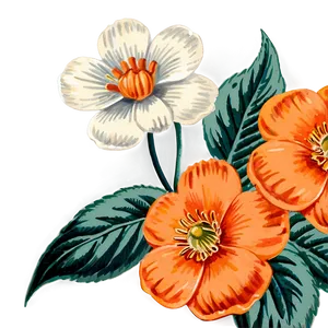 Vintage Orange Flower Png 75 PNG image