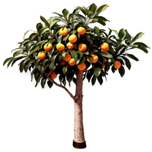 Vintage Orange Tree PNG 84 PNG