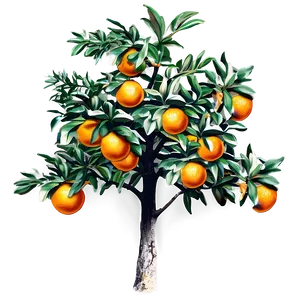 Vintage Orange Tree PNG 95