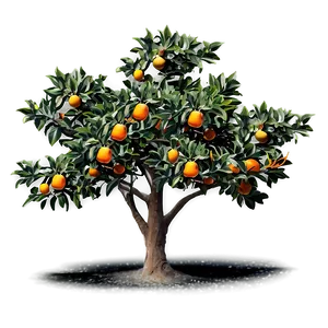 Vintage Orange Tree PNG Bfv53 PNG