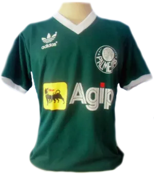 Vintage Palmeiras Soccer Jersey PNG image