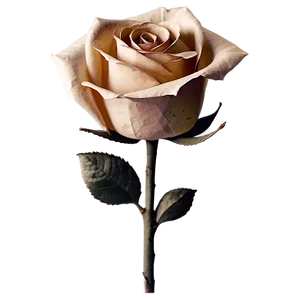 Vintage Paper Rose PNG 06282024 PNG