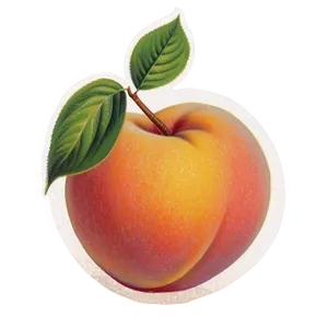 Vintage Peach Poster PNG Vaj45 PNG