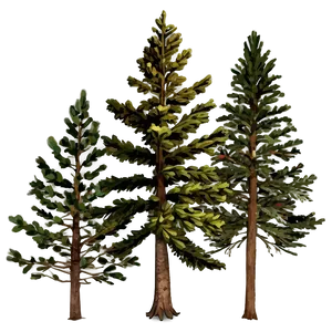 Vintage Pine Trees Png Hko PNG image