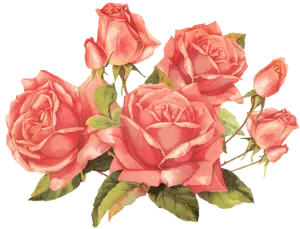 Vintage Pink Roses Cluster.png PNG image