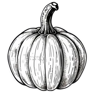 Vintage Pumpkin Outline Picture Png 06202024 PNG image