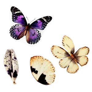 Vintage Purple Butterfly Png Knq PNG image