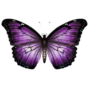 Vintage Purple Butterfly Png Ktq44 PNG image